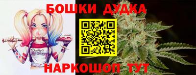 крисы Аша