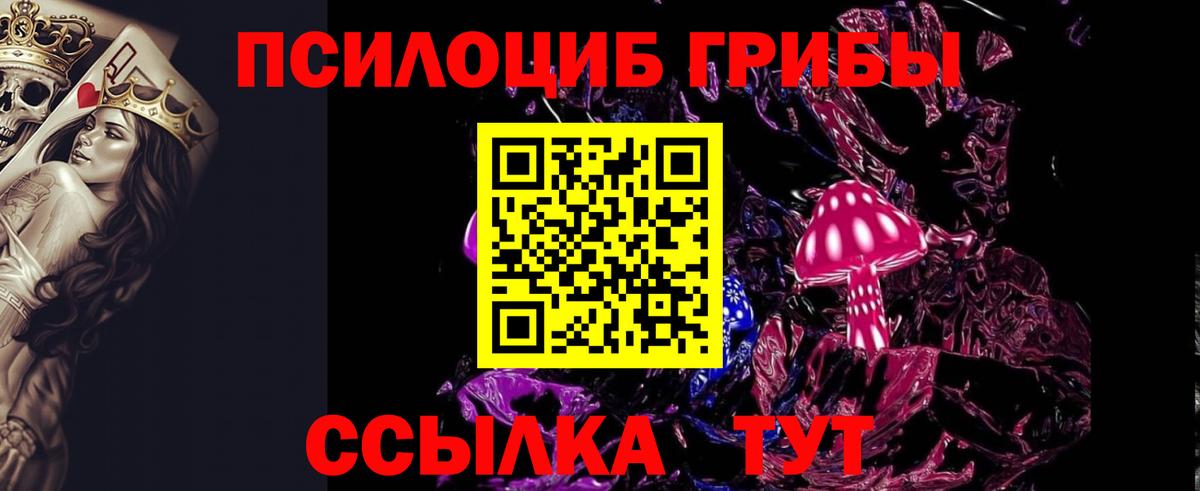 Галлюциногенные грибы Psilocybine cubensis  Псилоцибиновые грибы прущие грибы  Сокол  Вход с VPN 